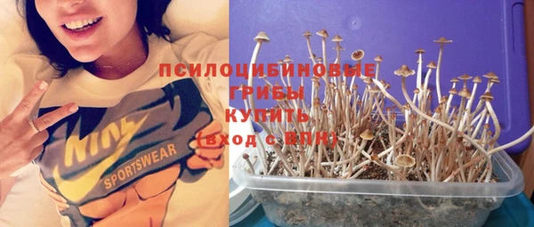 винт Лиски