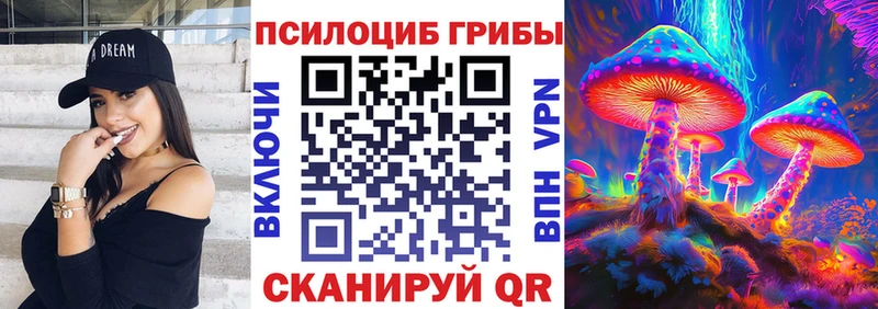 Купить закладки  Алексин  Галлюциногенные грибы Magic Shrooms 